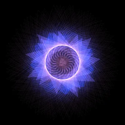 #218000066