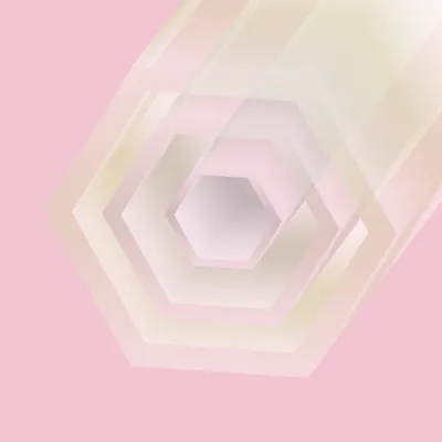 #22000017