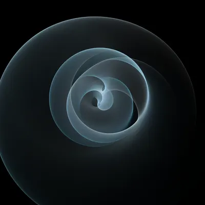 #221000186