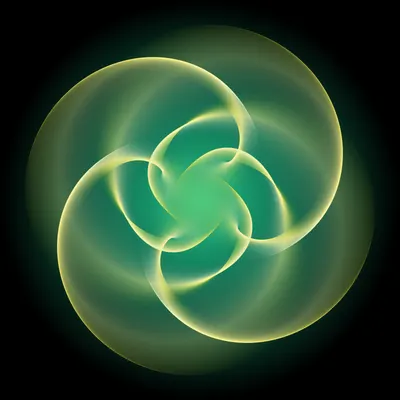 #221000194