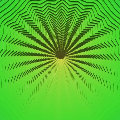 #225000402