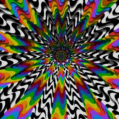 #225000413