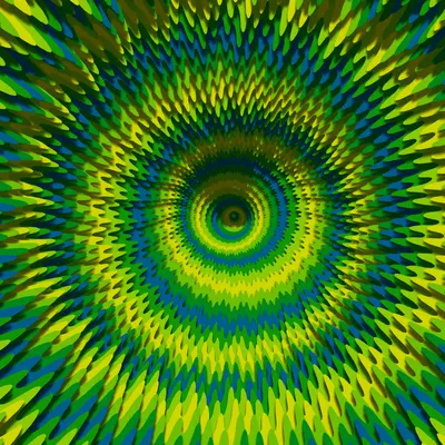 #225000513