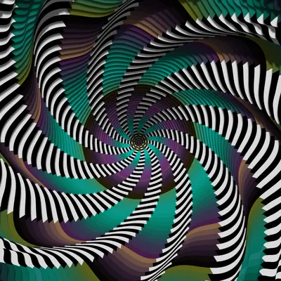 #225000528