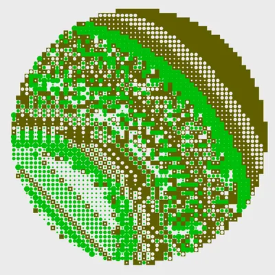 #241000008