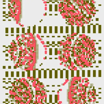 #241000011