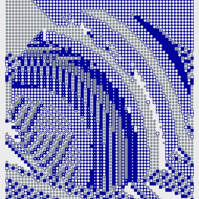 #241000016