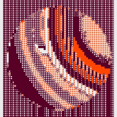 #241000019