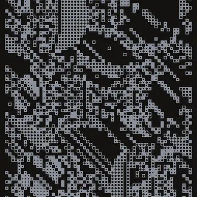 #241000038