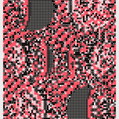#241000081