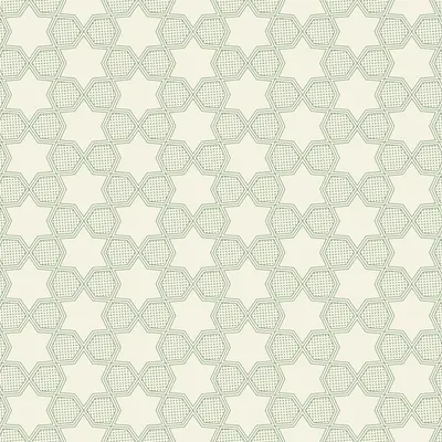 #242000066