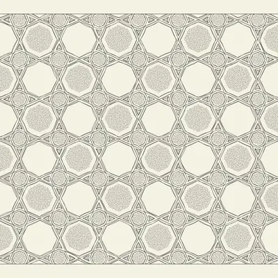 #242000266