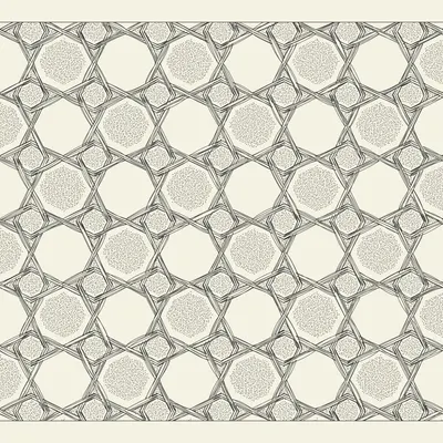 #242000267