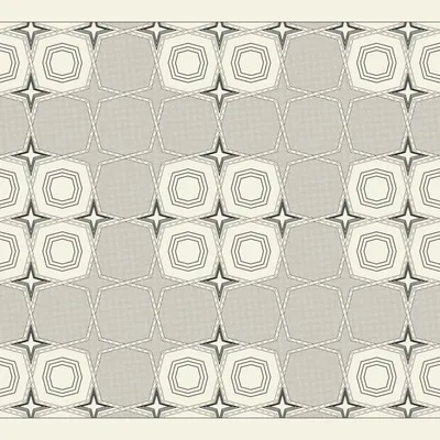 #242000281
