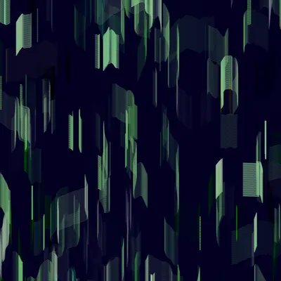 #252000081