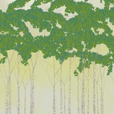#254000048