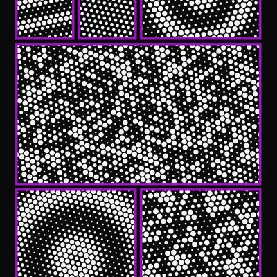 #257000064