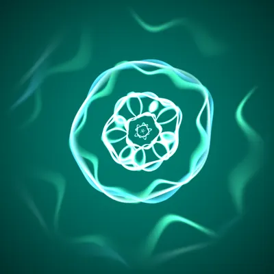 #26000298