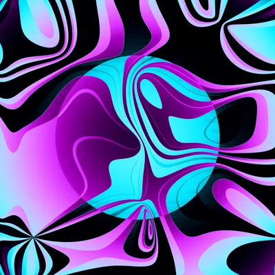 #262000016