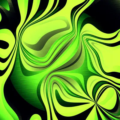 #262000242