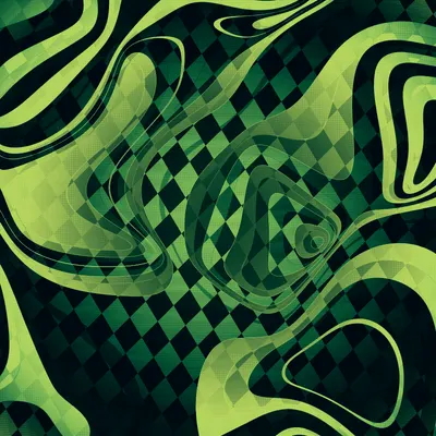 #262000248
