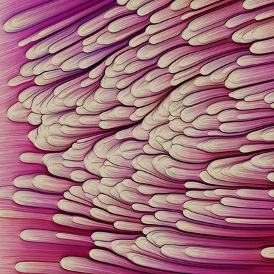 #271000139