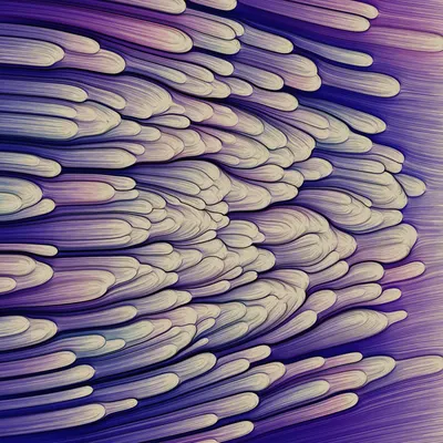 #271000193