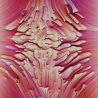 #271000228