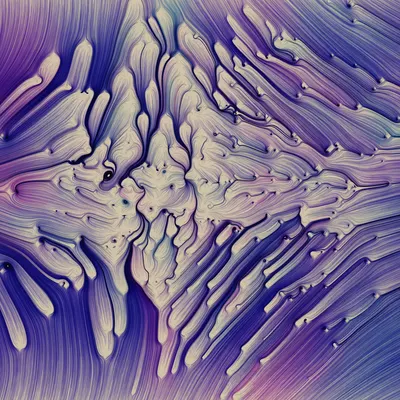#271000231