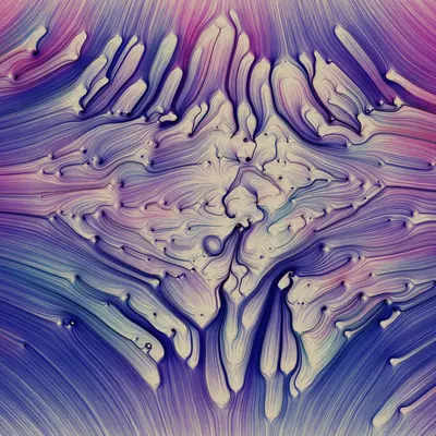 #271000253