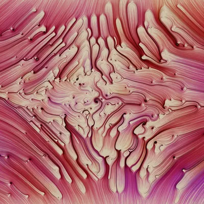 #271000255