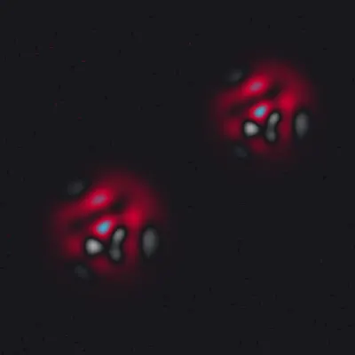 #275000019