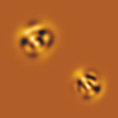 #275000116