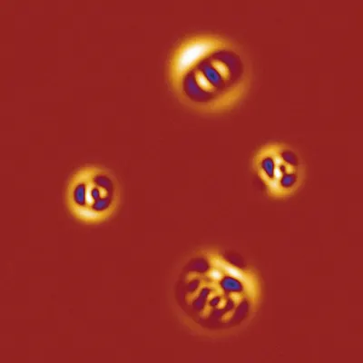 #275000118