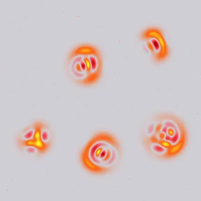 #275000146