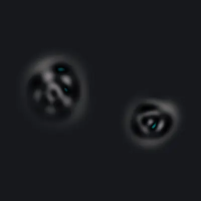 #275000162