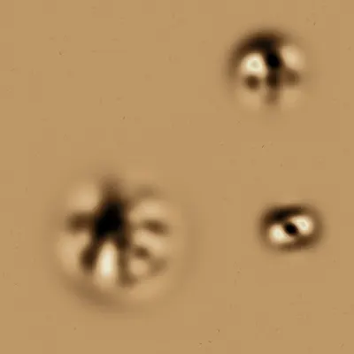 #275000295