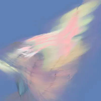 #288000162