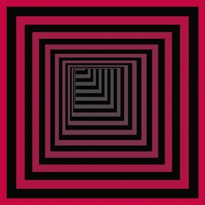 #293000206