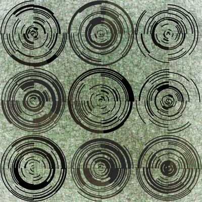 #297000050
