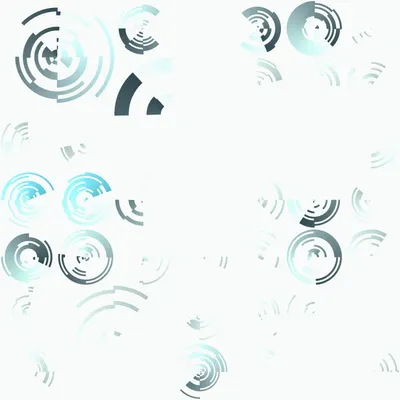 #297000204