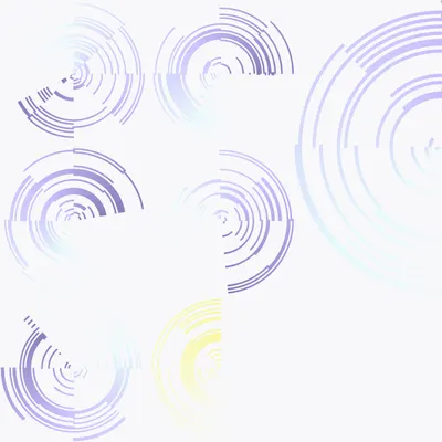 #297000206