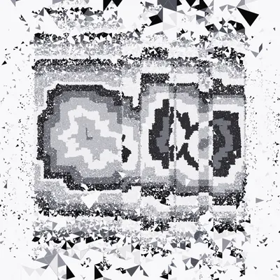 #307000069