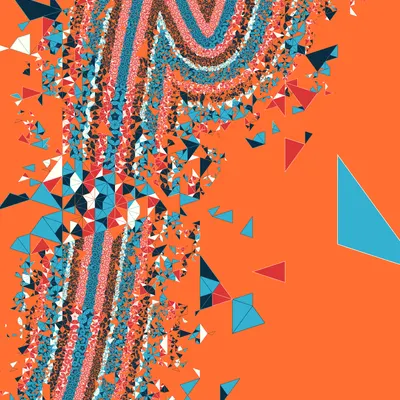 #307000085