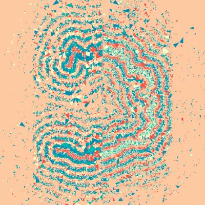 #307000239