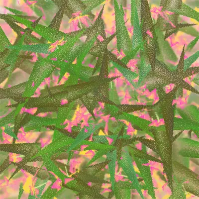 #308000125