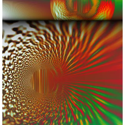#313000226