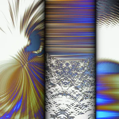 #313000282