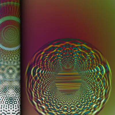 #313000295