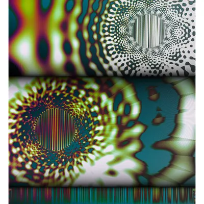 #313000305